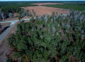 4.5+/- Acre Lot For Sale in Pender County NC!