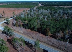 4.5+/- Acre Lot For Sale in Pender County NC!