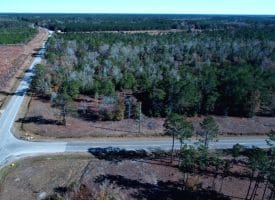 4.5+/- Acre Lot For Sale in Pender County NC!