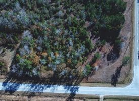 4.5+/- Acre Lot For Sale in Pender County NC!