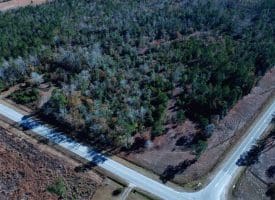 4.5+/- Acre Lot For Sale in Pender County NC!