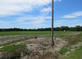 32+/- Acres Pittman Loop Road Farm For Sale in  Robeson County NC