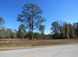 4.5+/- Acre Lot For Sale in Pender County NC!