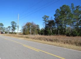 4.5+/- Acre Lot For Sale in Pender County NC!
