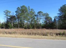 4.5+/- Acre Lot For Sale in Pender County NC!
