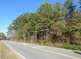 SOLD! 1 Acre Lot For Sale in Columbus County NC!
