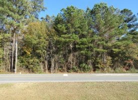 SOLD! 1 Acre Lot For Sale in Columbus County NC!