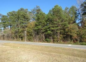 SOLD! 1 Acre Lot For Sale in Columbus County NC!