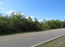 SOLD!! 19.72 Acres of Residential Land For Sale in Carteret County NC!