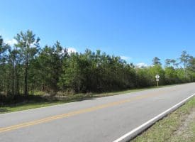 SOLD!! 19.72 Acres of Residential Land For Sale in Carteret County NC!