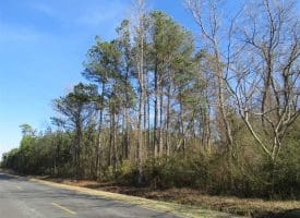 SOLD!!  2.45 Acres of Residential Land For Sale in Pender County NC!