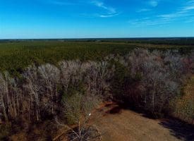 SOLD!!  2.45 Acres of Residential Land For Sale in Pender County NC!