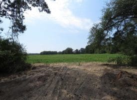 SOLD!!  70 Acres of Farm and Timber Land For Sale in Scotland County NC!