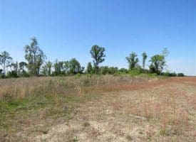 SOLD!!  20 Acres of Farm and Hunting Land For Sale in Robeson County NC!