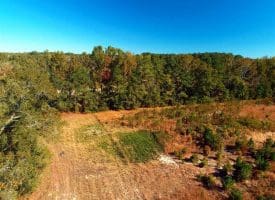 SOLD!!  58 Acres of Farm and Timber Land For Sale in Scotland County NC!