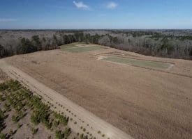 SOLD!!  110 Acres of Farm and Timber Land For Sale in Columbus County NC!