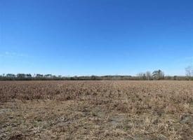 SOLD!!  110 Acres of Farm and Timber Land For Sale in Columbus County NC!