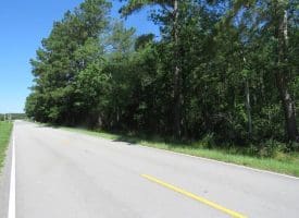 SOLD!!  460 Acres of Timber Land For Sale in Columbus County NC!