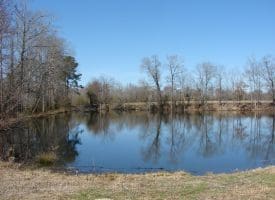 SOLD!!  50 Acres of Farm and Timber Land For Sale in Robeson County NC!