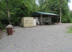 SOLD!!  101 Acres of Hunting Land For Sale in Cumberland County NC!