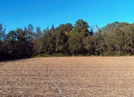 SOLD!!  18 Acres of Farm and Timber Land For Sale in Robeson County NC!