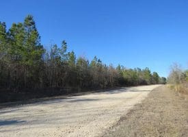 SOLD!! 24 Acres of Timber Land For Sale in Cumberland County NC!
