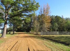 SOLD!! 8 Acres of Hunting Land For Sale in Robeson County NC!
