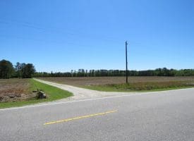 SOLD!! 76 Acres of Farm and Timber Land For Sale in Robeson County NC!