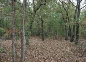 SOLD!! 25 Acres of Hunting Land For Sale in Bladen County NC!