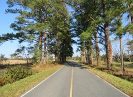 SOLD!!  106 Acres of Residential Farm and Timber Land For Sale in Sampson County NC!