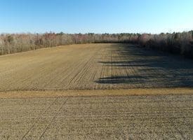 SOLD!!  47 Acres of Farm and Timber Land For Sale in Columbus County NC!