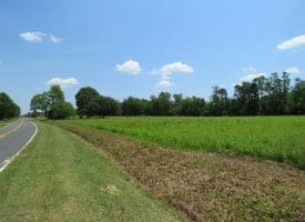 SOLD!! 26 Acres of Farm and Timber Land with Home Site For Sale in Bladen County NC!