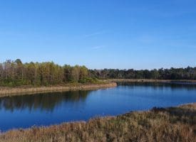 SOLD!  112 Acres of Farm and Recreational Land For Sale in Robeson County NC!
