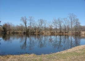 SOLD!!  50 Acres of Farm and Timber Land For Sale in Robeson County NC!