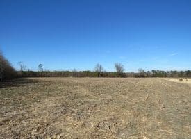 SOLD!!  70 Acres of Farm and Timber Land For Sale in Hoke County NC!