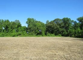 SOLD!! 380 Acres of Farm and Timber Land For Sale in Robeson and Hoke Counties!