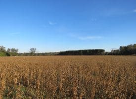 SOLD!  112 Acres of Farm and Recreational Land For Sale in Robeson County NC!