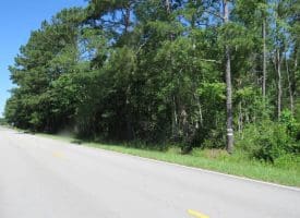 SOLD!!  460 Acres of Timber Land For Sale in Columbus County NC!