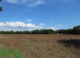 SOLD!!  19 Acres of Farm Land For Sale in Robeson County NC!