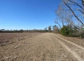 SOLD!!  110 Acres of Farm and Timber Land For Sale in Columbus County NC!