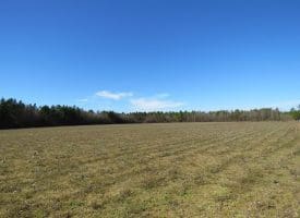 SOLD!!  50 Acres of Farm and Timber Land For Sale in Cumberland County NC!