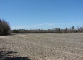 SOLD!!  50 Acres of Farm and Timber Land For Sale in Robeson County NC!