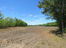 SOLD!! 76 Acres of Farm and Timber Land For Sale in Robeson County NC!
