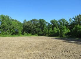 SOLD!! 380 Acres of Farm and Timber Land For Sale in Robeson and Hoke Counties!