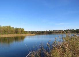 SOLD!  112 Acres of Farm and Recreational Land For Sale in Robeson County NC!
