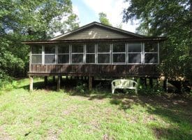 SOLD!  29 Acres of Hunting and Farm Land For Sale in Duplin County NC!