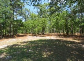 SOLD!!  1.33 Acres with Home For Sale in Sampson County NC!