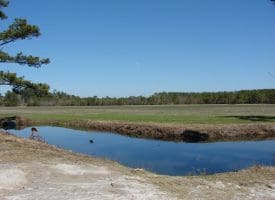 SOLD!!  36 Acres of Farm and Timber Land For Sale in Robeson County NC!