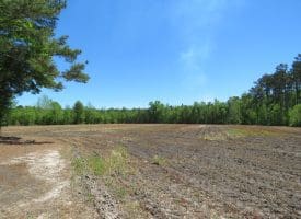 SOLD!! 76 Acres of Farm and Timber Land For Sale in Robeson County NC!