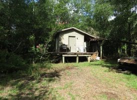 SOLD!  29 Acres of Hunting and Farm Land For Sale in Duplin County NC!